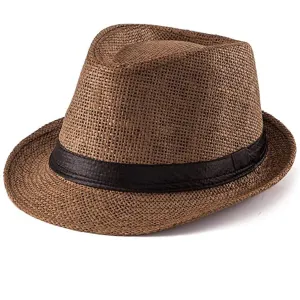 FabSeasons Brown Panama Hats