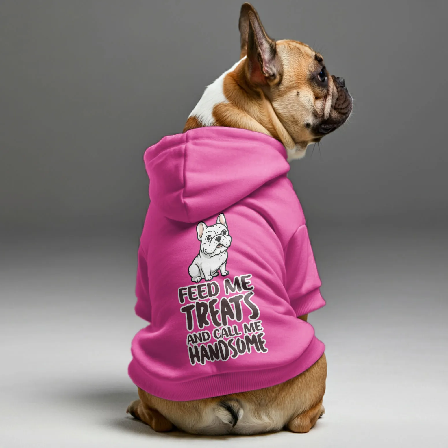 Feed me - Personalized French Bulldog Hoodies with Funny Quotes – Stylish, Cozy, and Premium 100% Cotton