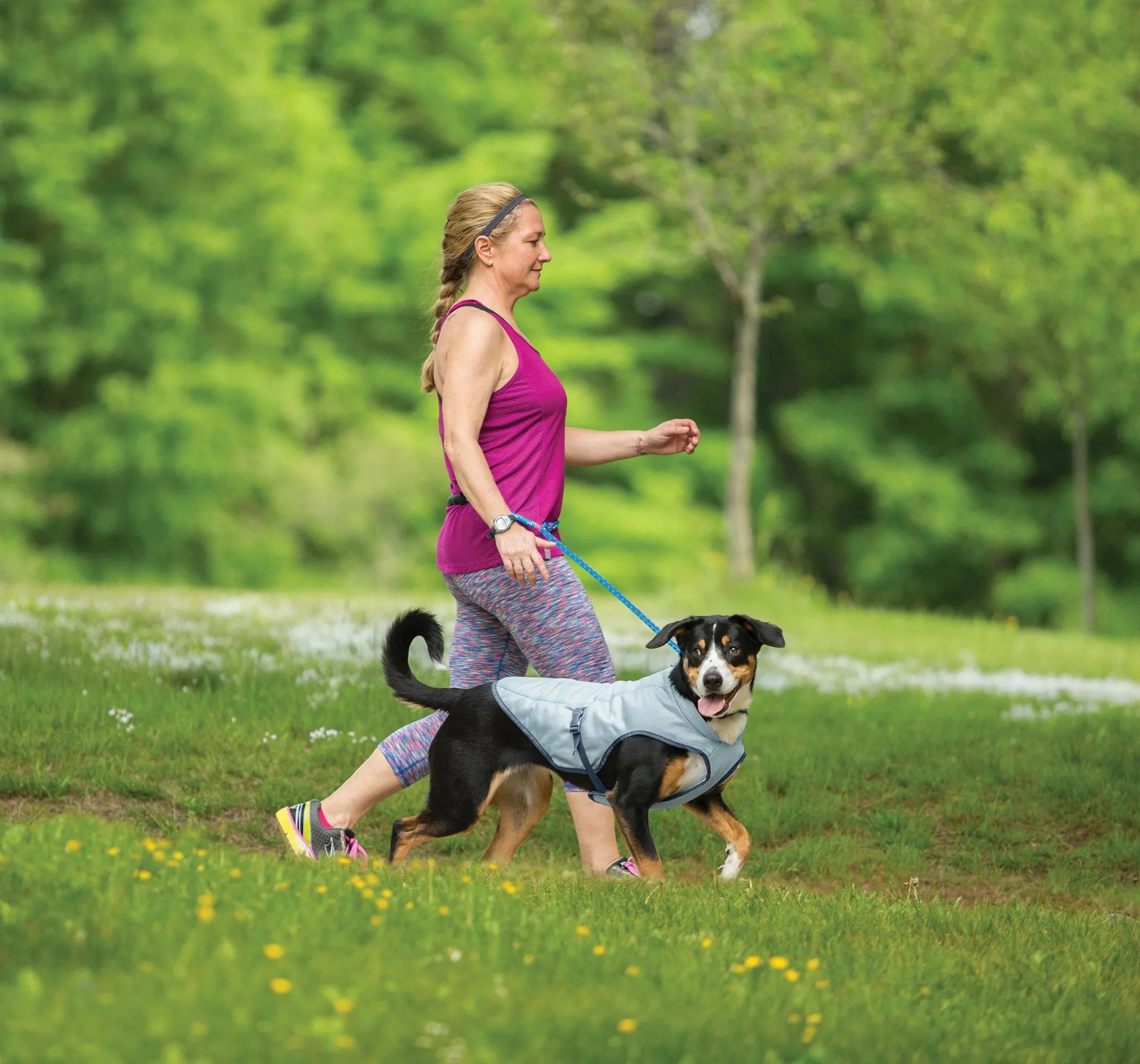 Kurgo Dog Core Cooling Vest